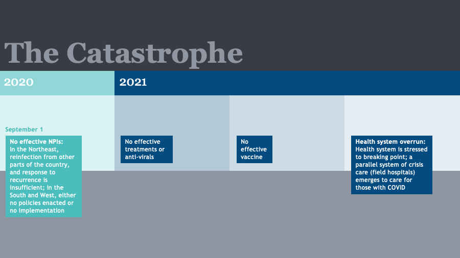 COVID Timeline: The Catastrophe