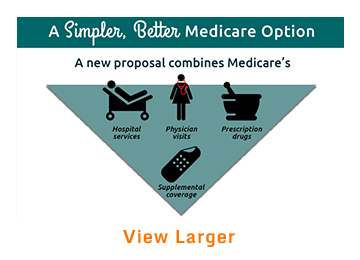 IMPORTED: www_commonwealthfund_org____media_images_publications_infographics_view_simpler_medicare_option_360x260_h_260_w_360.jpg