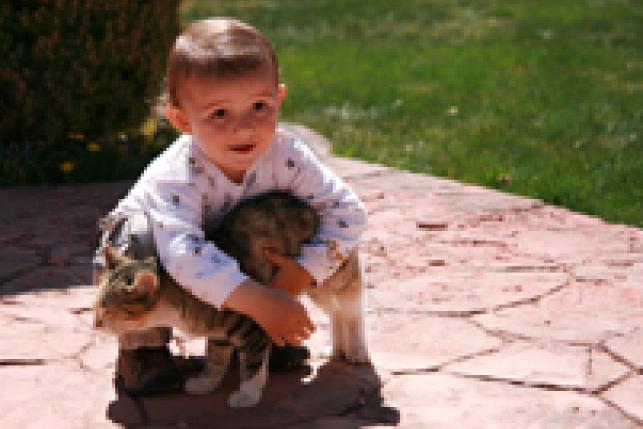 Child with Kitten