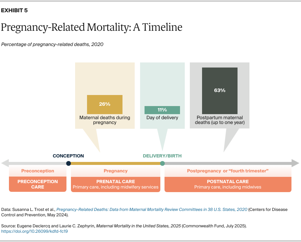 Declercq_maternal_mortality_united_states_2025_Exhibit_05