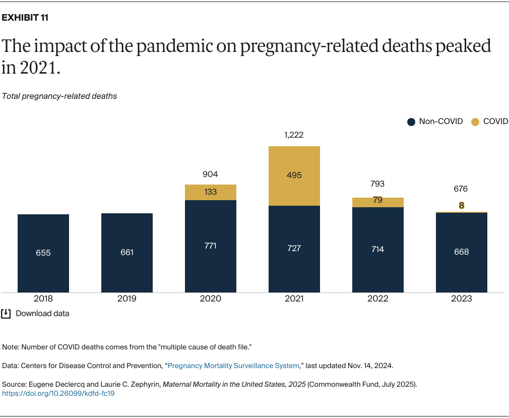 Declercq_maternal_mortality_united_states_2025_Exhibit_11_v2