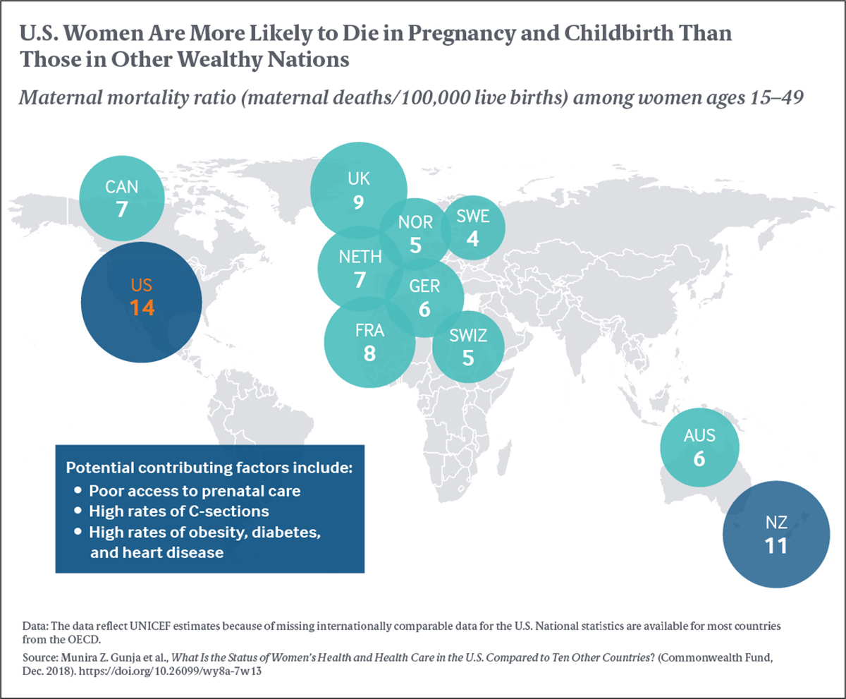 Women's Maternal Mortality Infographic