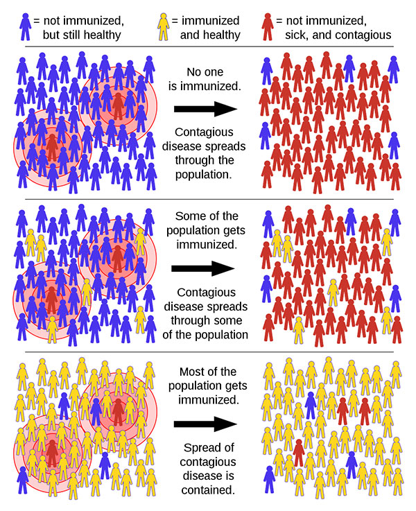 herd immunity