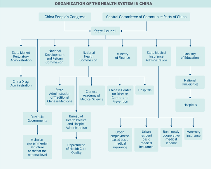 What is unique about the organizational structure of healthcare organizations China Commonwealth Fund