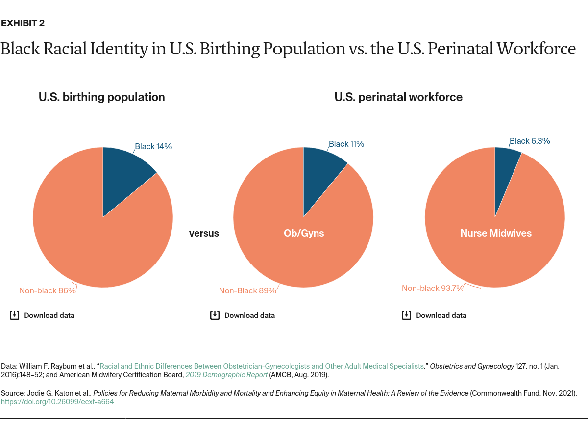 Katon_policies_reducing_maternal_morbidity_mortality_exhibit_02