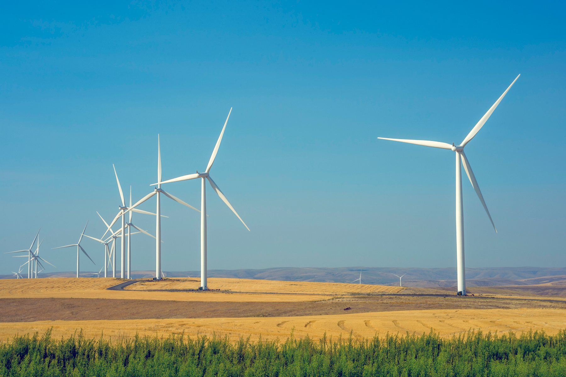 Wind farm in eastern Washington State