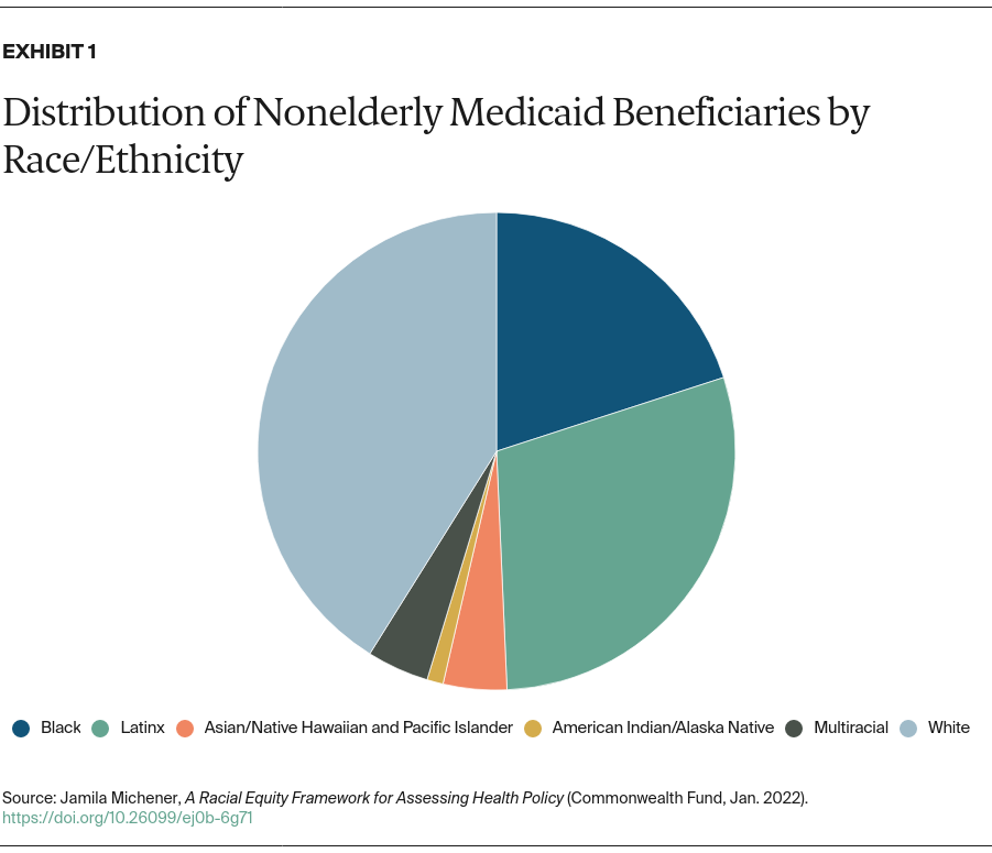 Michener_racial_equity_framework_exhibit_01