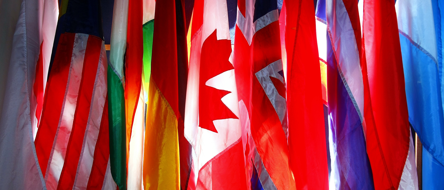 The 2020 International Profiles of Health Care Systems: A Useful Resource for Interpreting Country Responses to the COVID-19 Pandemic