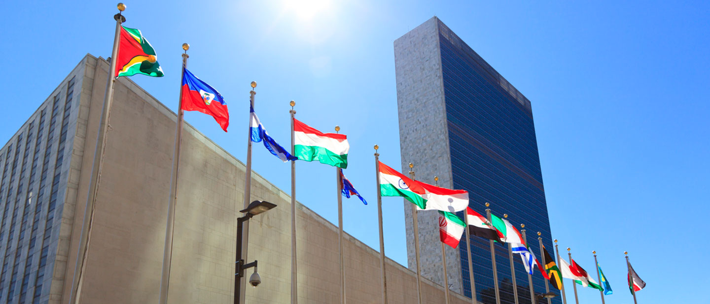 United Nations flags in NY