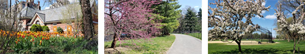 images of spring_CQC images of spring