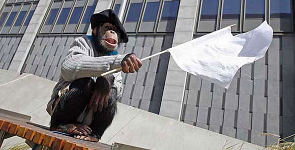 monkey with a flag