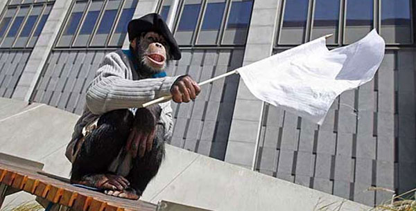 monkey with a flag_600 monkey with a flag