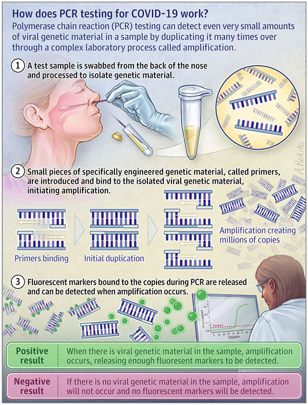 pcr testing diagram