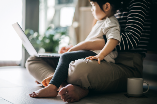 Young mother using laptop with toddler on her lap