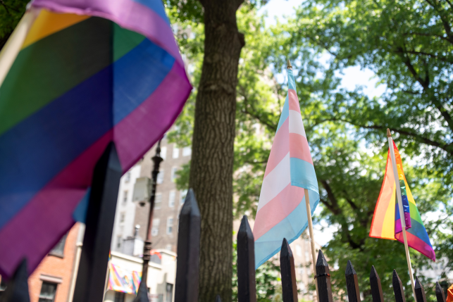 transgender flags line fence in front of trees