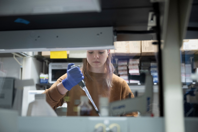 Researcher with gloves uses syringe in laboratory.