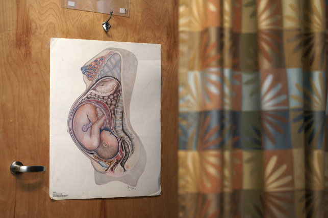 Illustration depicting anatomy of a pregnant woman with fetus
