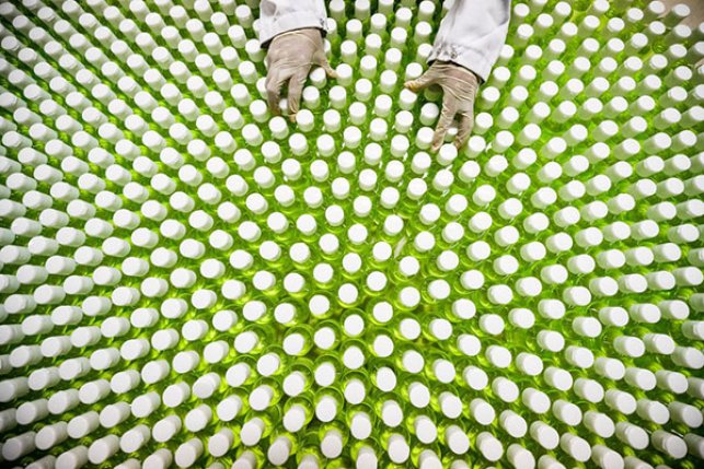 scientist working on pandemic viral solutions