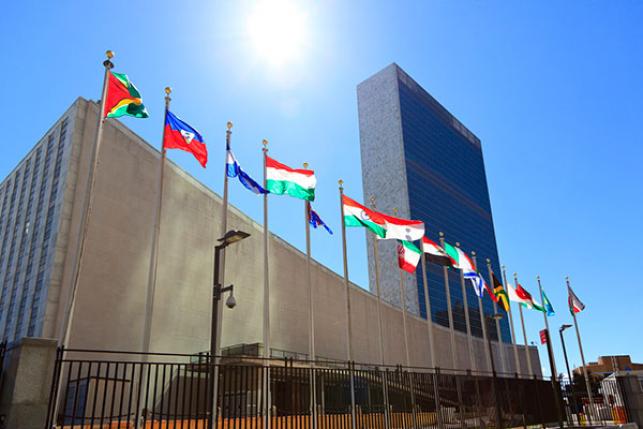 United Nations flags in NY