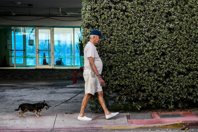 elderly man in baseball cap walks tiny dog on sidewalk