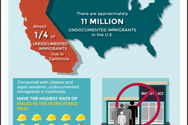 Undocumented Immigrants