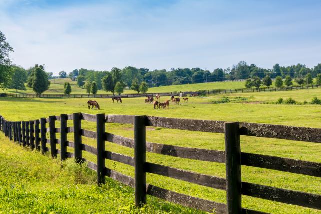 kentucky-medicaid-work-requirement Kentucky Medicaid Work Requirement