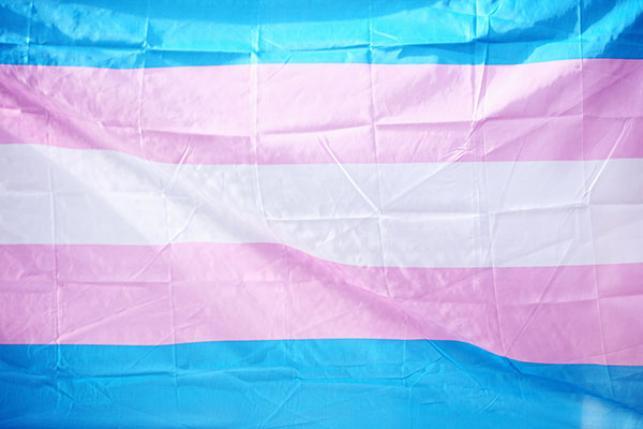 transgender flag