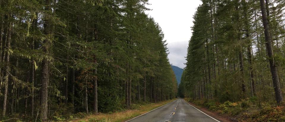 Alderwick_Medicaid-investments-in-social-needs-in-Oregon-and-California
