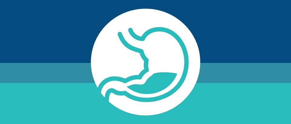 Choosing Wisely Recommendation 4: Don’t Maintain Long-Term Proton Pump Inhibitor (PPI) Therapy For Gastrointestinal Symptoms Without An Attempt To Stop Or Reduce PPI At Least Once Per Year In Most Patients