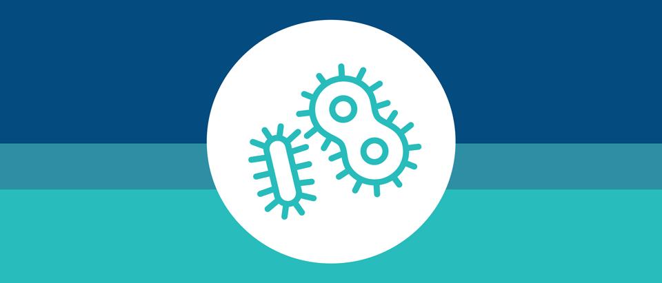Choosing Wisely Recommendation 8: Don’t Use Antimicrobials To Treat Bacteriuria In Older Adults Unless Specific Urinary Tract Symptoms Are Present