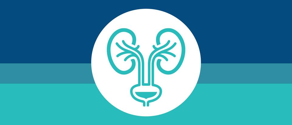 Choosing Wisely Recommendation 9: Don’t Place, Or Leave In Place, Urinary Catheters For Incontinence, Convenience, Or Monitoring In Noncritically Ill Patients