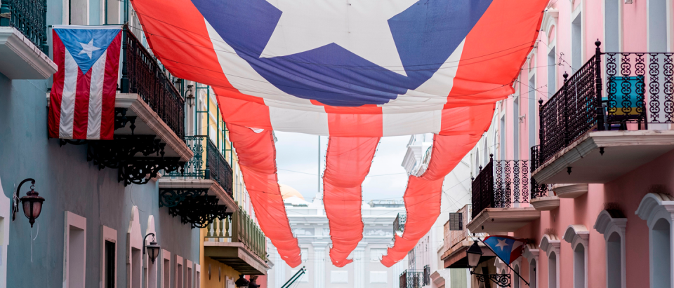 How States Would Fare Under Medicaid Block Grants or Per Capita Caps: Lessons from Puerto Rico