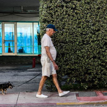 elderly man in baseball cap walks tiny dog on sidewalk
