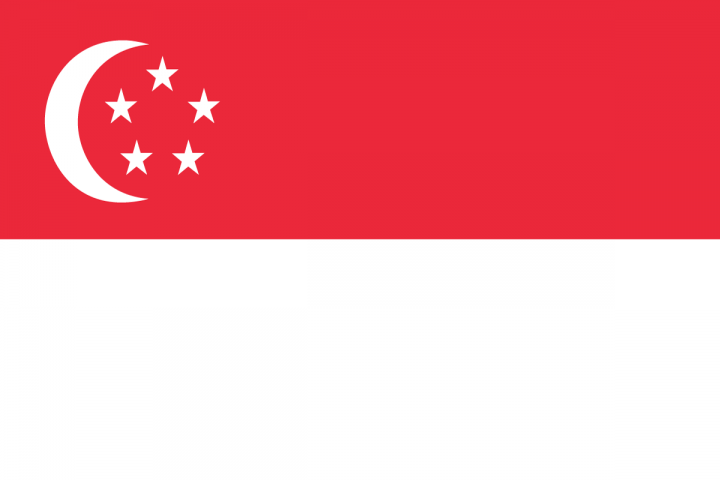 Singapore Flag