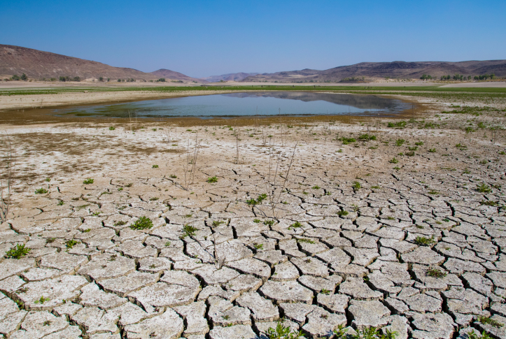 Photo, Lake bed drying up