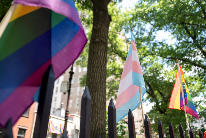 transgender flags line fence in front of trees