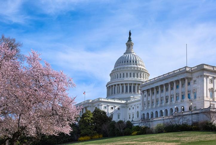 Congressional testimony about consumer health care costs