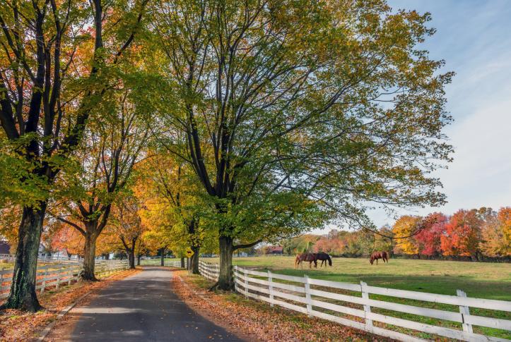 Maryland Rural Scene