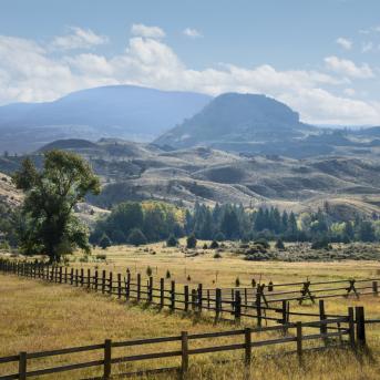 View of Gallatin National Forest, Montana