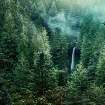 View of North Falls in Silver Falls State Park, Oregon