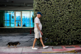 elderly man in baseball cap walks tiny dog on sidewalk