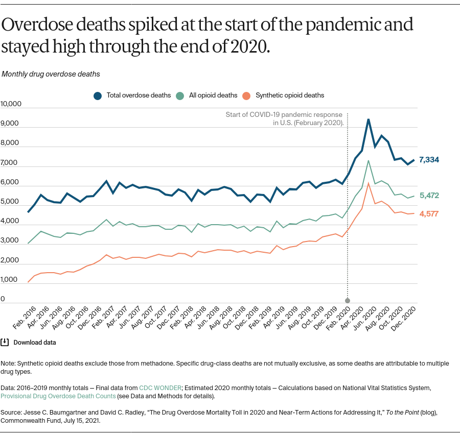 the-drug-overdose-mortality-toll-in-2020-and-near-term-actions-for-addressing-it-exhibit-2