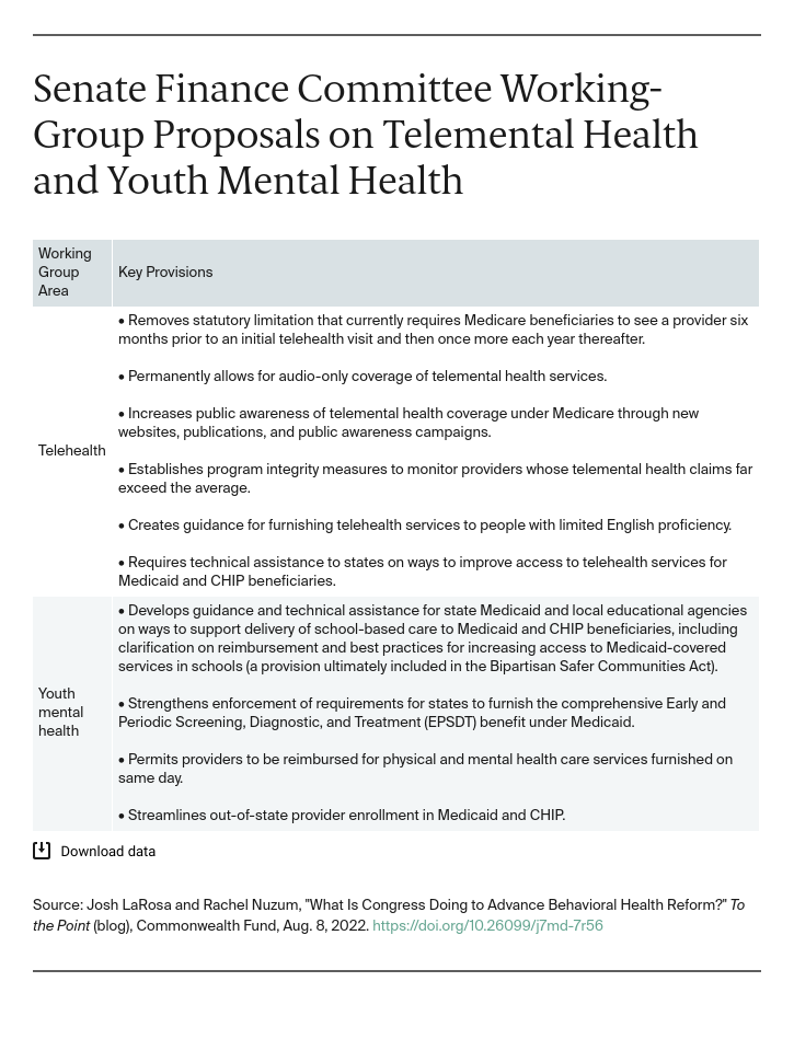Table detailing the group proposals on telemental and youth mental health